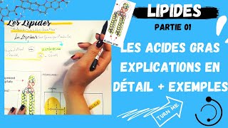 📣1 Les Lipides Partie1 Les Acides Gras explication en détail  des exemplesاقوى مراجعة لللبيدات [upl. by Atiluj48]