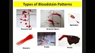 Blood Spatter Notes Forensics [upl. by Ahtis]