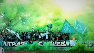 ULTRAS OF RAJA CASABLANCA SINGING FOR PALESTINE With Translation [upl. by Harshman639]