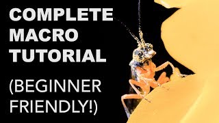 Complete Macro Photography Tutorial for Beginners [upl. by Aiekahs]