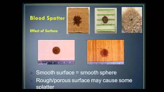 Blood Spatter Analysis Lecture  part 1 [upl. by Ebanreb]