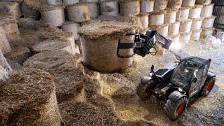 Bobcat RSeries Telehandlers for Agriculture in action [upl. by Fiona590]