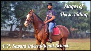 Stages of Horse Riding Demonstrated by PP Savani Horse Riding School Surat [upl. by Cirillo]