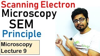 Scanning electron microscope principle working SEM [upl. by Olotrab]