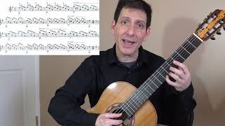 Guided Lesson Estudio Study in e minor  Francisco Tárrega Philip Hemmo classical guitar [upl. by Omixam]