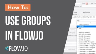 How to use Groups in FlowJo [upl. by Akit775]