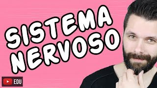 SISTEMA NERVOSO  FISIOLOGIA  Aula  Biologia com Samuel Cunha [upl. by Yetah]