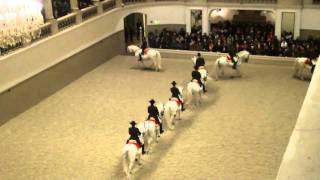 Spanish Riding School  Vienna HD [upl. by Eidassac]