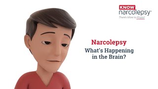 Narcolepsy What’s Happening in the Brain [upl. by Russel]