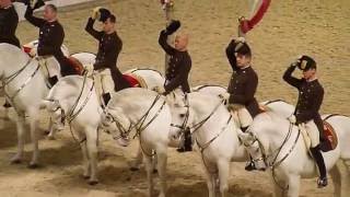 The Spanish Riding School of Vienna 08 [upl. by Kohcztiy]