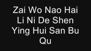 Qing Fei De Yi by Harlem Yu Lyrics PINYIN [upl. by Napoleon]