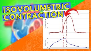 Isovolumetric Contraction [upl. by Abe]