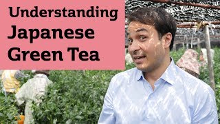 Understanding Japanese Green Tea JAPAN TRIP [upl. by Kort]