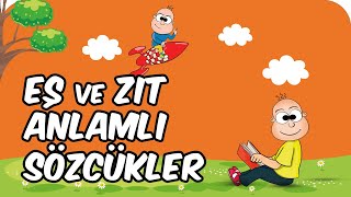 Eş ve Zıt Anlamlı Sözcükler  2 Sınıf Türkçe 📚 [upl. by Kernan]