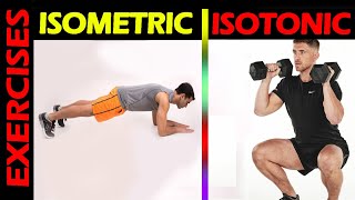 10 Minute Isometric Core Workout  No Equipment [upl. by Renae972]