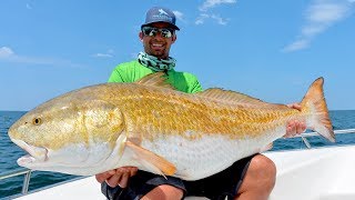 Found Over 10000 MASSIVE Redfish [upl. by Ernesto933]