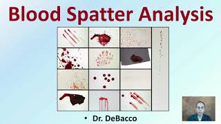 Blood Spatter Analysis [upl. by Otrebogir]