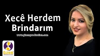 Xecê Herdem Birîndarım Akustik [upl. by Finbur]