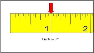 How to Read a Ruler [upl. by Zanze]