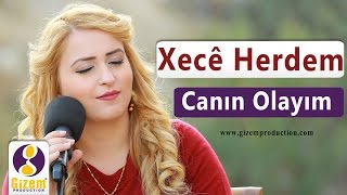 Xecê Herdem Canın Olayım Akustik [upl. by Atires653]