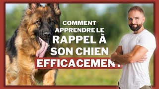 Comment apprendre le rappel a son chien efficacement [upl. by Goth]