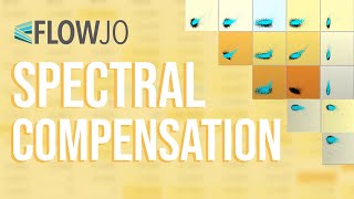 FlowJo Webinar Spectral Compensation 41620 [upl. by Nylinnej]