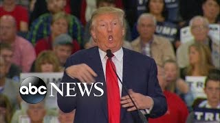 Donald Trump Accused of Mocking Reporter with Disability [upl. by Darwin947]