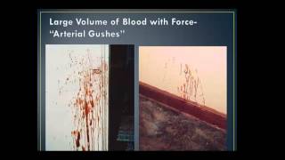 Blood Spatter Analysis Lecture  part 2 [upl. by Chud]