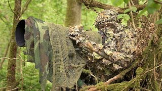 BIRD PHOTOGRAPHY in the forest  Wildlife photography behind the scenes  Nikon Z7 FTZ camouflage [upl. by Lillywhite]