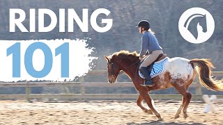 HOW TO RIDE A HORSE EASY BEGINNERS GUIDE [upl. by Tray]