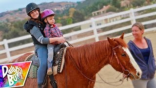 First Horseback Riding Lessons 🐴 [upl. by Gratiana50]