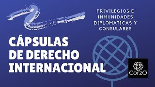 Privilegios e inmunidades diplomáticas y consulares [upl. by Gellman]