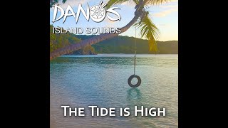 Steel Drum  Blondie The Tide is High HQ Audio by Danos Island Sounds [upl. by Nedda164]