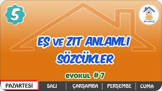 Eş ve Zıt Anlamlı Sözcükler  5Sınıf uzaktanegitim evokul Kampı [upl. by Ynnahc442]