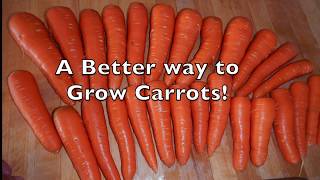 How to Sow Carrot Seeds [upl. by Elocan684]