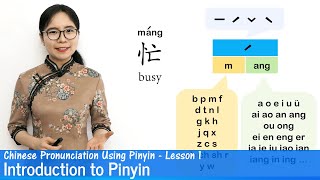 Introduction to Chinese Pronunciation Using Pinyin  Pinyin Lesson 01 [upl. by Eseer]