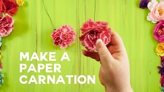 Paper Carnation  Rolled and Ruffled Petals [upl. by Nytsirhc920]