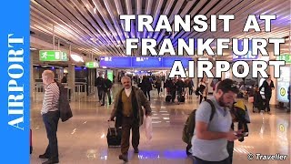 TRANSIT WALK AT FRANKFURT Airport FRA Terminal 1  Connection Flight Transfer Arriving amp Departing [upl. by Letta]