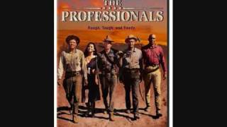 The Professionals Theme [upl. by Goody902]