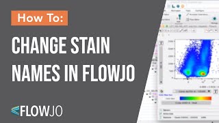 Change Stain Name in FlowJo [upl. by Barkley]