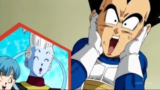 Vegeta Funniest Moments [upl. by Ammej]